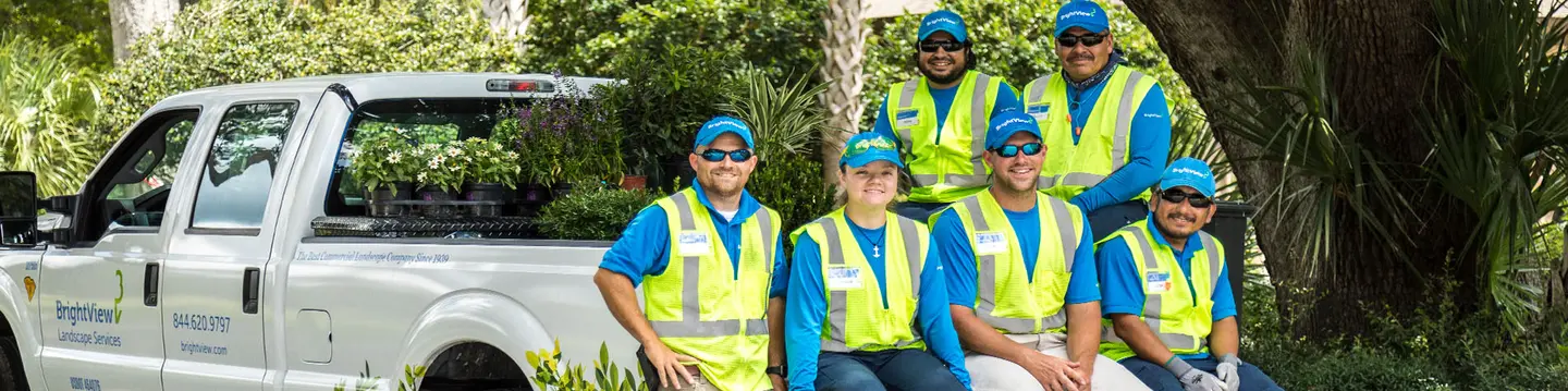 BrightPath Landscape Developer Program